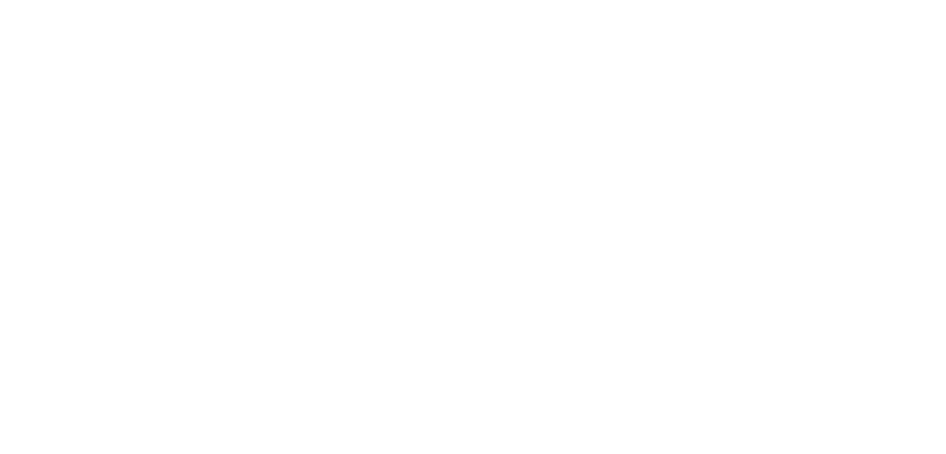 dualllogo